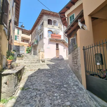 Pedrazzini Violetta - Con Soppalco Apartament